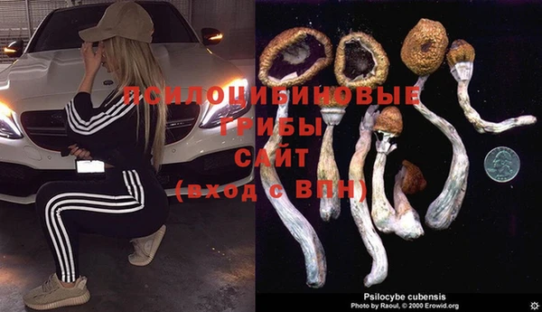 прущие крисы Пролетарск