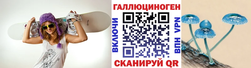 Псилоцибиновые грибы MAGIC MUSHROOMS  даркнет сайт  Тулун 